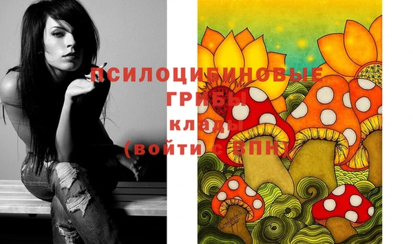 apvp Лагань