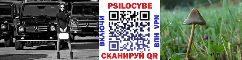 купить закладку  Мезень  Псилоцибиновые грибы Psilocybe 